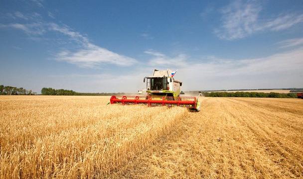 В Ставропольском крае аграрии собрали не менее 5-ти млн. тонн зерна